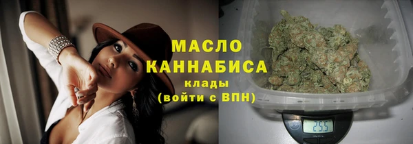 apvp Бородино