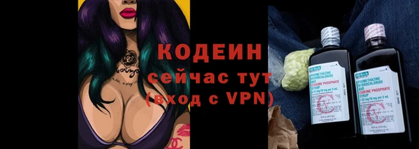 крисы Богданович