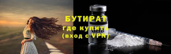 прущие грибы Гусиноозёрск