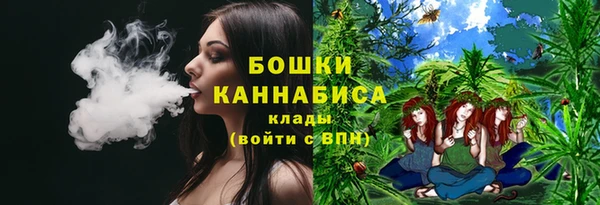 мескалин Богородицк