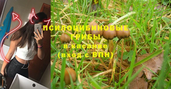 гашик Богородск