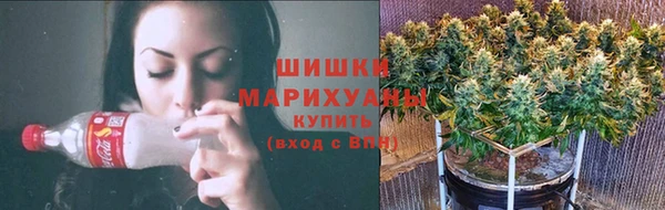 мескалин Богородицк
