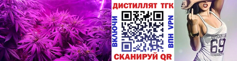 где продают наркотики  Киселёвск  kraken вход  ТГК вейп 