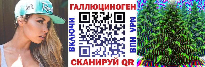 blacksprut ONION  Киселёвск  Псилоцибиновые грибы мицелий  где можно купить  